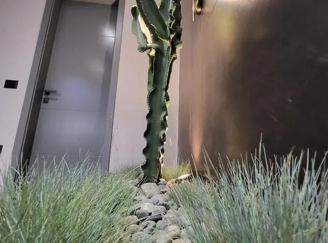 La Mirage 别墅 Rrushkull (Durres)