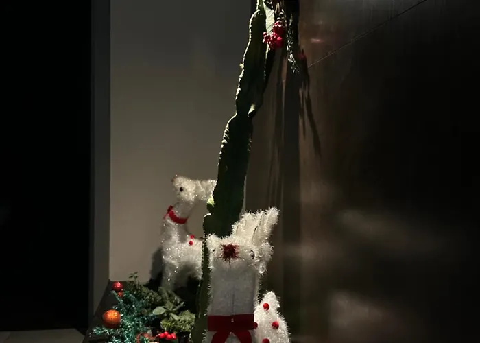 La Mirage 别墅 Rrushkull (Durres)